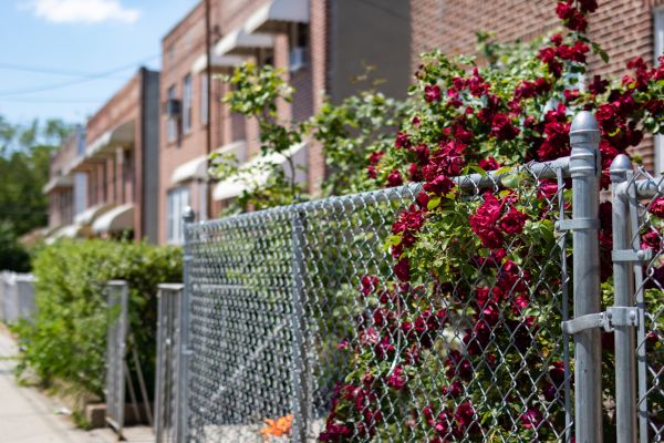 Chain Link Fence Replacement