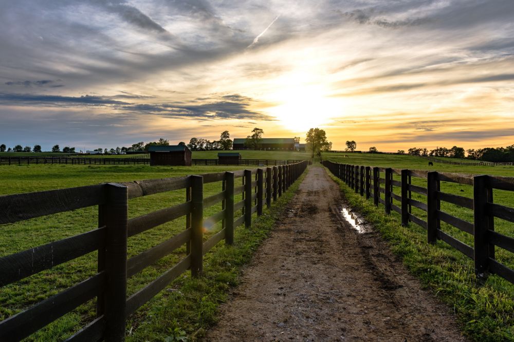 Wood Farm Fence Installation