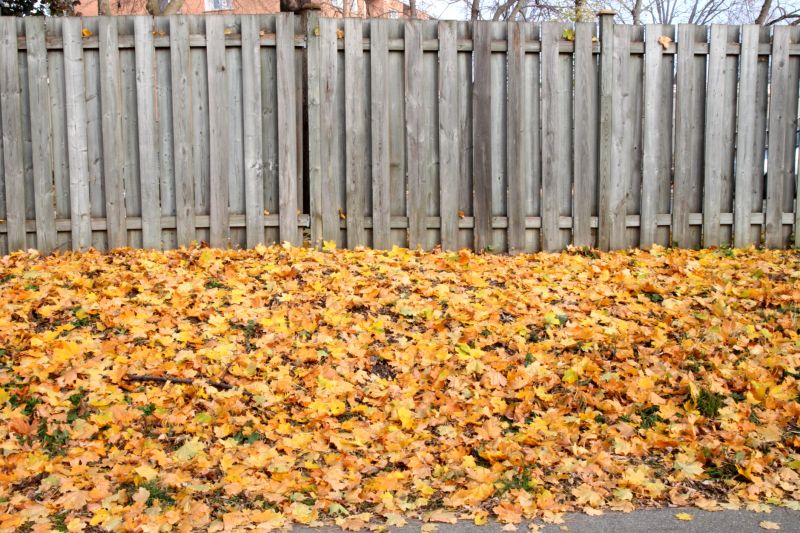 Fence Inspection in Fall